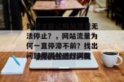 如何才能让网站流量无法停止?,网站流量为何一直停滞不前?找出问题原因并进行调整 如何才能让网站流量无法停止?,网站流量为何一直停滞不前?找出问题原因并进行调整