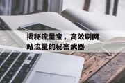 揭秘流量宝,高效刷网站流量的秘密武器 揭秘流量宝,高效刷网站流量的秘密武器