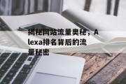 揭秘网站流量奥秘,Alexa排名背后的流量秘密 揭秘网站流量奥秘,Alexa排名背后的流量秘密