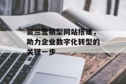 贺兰营销型网站搭建,助力企业数字化转型的关键一步 贺兰营销型网站搭建,助力企业数字化转型的关键一步