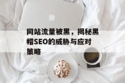 网站流量被黑,揭秘黑帽SEO的威胁与应对策略 网站流量被黑,揭秘黑帽SEO的威胁与应对策略