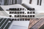 网站流量审计,揭示隐藏的商业秘密,商业洞察,隐藏在网站流量背后的商业秘密探秘 网站流量审计,揭示隐藏的商业秘密,商业洞察,隐藏在网站流量背后的商业秘密探秘