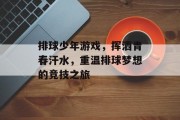 排球少年游戏,挥洒青春汗水,重温排球梦想的竞技之旅 排球少年游戏,挥洒青春汗水,重温排球梦想的竞技之旅