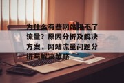 为什么有些网站用不了流量?原因分析及解决方案,网站流量问题分析与解决策略 为什么有些网站用不了流量?原因分析及解决方案,网站流量问题分析与解决策略