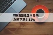 WNS控股盘中异动 急速下跌5.11% WNS控股盘中异动 急速下跌5.11%