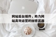 网站后台插件,助力网站高效运营的秘密武器 网站后台插件,助力网站高效运营的秘密武器