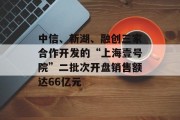 中信、新湖、融创三家合作开发的“上海壹号院”二批次开盘销售额达66亿元 中信、新湖、融创三家合作开发的“上海壹号院”二批次开盘销售额达66亿元