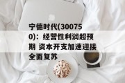 宁德时代(300750):经营性利润超预期 资本开支加速迎接全面复苏 宁德时代(300750):经营性利润超预期 资本开支加速迎接全面复苏