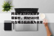 网站开发SEO关键步骤解析,揭秘SEO优化在哪个阶段最为关键 网站开发SEO关键步骤解析,揭秘SEO优化在哪个阶段最为关键