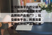 社交媒体平台的公益力量，如何利用流量实现品牌和产品推广？，社交媒体平台，利用流量实现品牌和产品推广策略