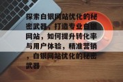 探索白银网站优化的秘密武器,打造专业白银网站,如何提升转化率与用户体验,精准营销,白银网站优化的秘密武器 探索白银网站优化的秘密武器,打造专业白银网站,如何提升转化率与用户体验,精准营销,白银网站优化的秘密武器