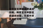 神奇宝贝神都遗迹通关攻略,神奇宝贝神都遗迹通关秘籍,从新手到高手全攻略 神奇宝贝神都遗迹通关攻略,神奇宝贝神都遗迹通关秘籍,从新手到高手全攻略