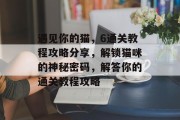 遇见你的猫,6通关教程攻略分享,解锁猫咪的神秘密码,解答你的通关教程攻略