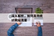 深入解析,如何高效统计网站流量 深入解析,如何高效统计网站流量