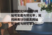 高效优化SEO提升网站可见度与转化率,如何利用SEO提高网站可见度与转化率?