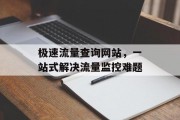 极速流量查询网站,一站式解决流量监控难题 极速流量查询网站,一站式解决流量监控难题