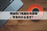 揭秘热门电脑吃鸡游戏,究竟叫什么名字? 揭秘热门电脑吃鸡游戏,究竟叫什么名字?