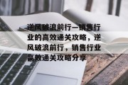 逆风破浪前行—销售行业的高效通关攻略，逆风破浪前行，销售行业高效通关攻略分享