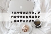 上海专业网站优化,助力企业提升在线竞争力,实现数字化转型 上海专业网站优化,助力企业提升在线竞争力,实现数字化转型