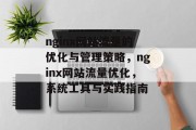 nginx网站流量的优化与管理策略，nginx网站流量优化，系统工具与实践指南