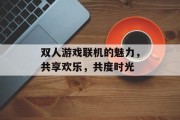 双人游戏联机的魅力，共享欢乐，共度时光
