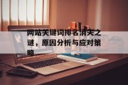 网站关键词排名消失之谜，原因分析与应对策略