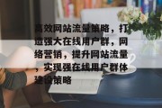 高效网站流量策略,打造强大在线用户群,网络营销,提升网站流量,实现强在线用户群体建设策略 高效网站流量策略,打造强大在线用户群,网络营销,提升网站流量,实现强在线用户群体建设策略