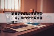 湖北咨询网站搭建前景广阔，助力企业数字化转型