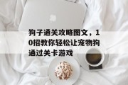 狗子通关攻略图文,10招教你轻松让宠物狗通过关卡游戏 狗子通关攻略图文,10招教你轻松让宠物狗通过关卡游戏