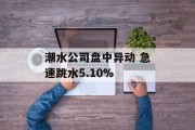 潮水公司盘中异动 急速跳水5.10%