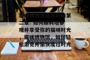 猫咪博物馆通关攻略第二章: 如何顺利地参观并享受你的猫咪时光,猫咪博物馆,如何轻松游览并愉快度过时光 猫咪博物馆通关攻略第二章: 如何顺利地参观并享受你的猫咪时光,猫咪博物馆,如何轻松游览并愉快度过时光