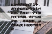 在游戏最后的正义中,通关攻略可能会有多种解读。这里以三个关键的关卡为例,进行详细说明。,策略解析,游戏最后关卡通关攻略详解