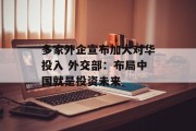 多家外企宣布加大对华投入 外交部:布局中国就是投资未来 多家外企宣布加大对华投入 外交部:布局中国就是投资未来