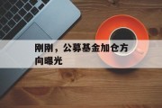 刚刚,公募基金加仓方向曝光 刚刚,公募基金加仓方向曝光