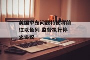 美国中东问题特使将前往以色列 监督执行停火协议 美国中东问题特使将前往以色列 监督执行停火协议