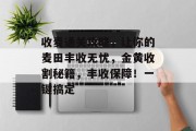 收麦通关攻略,让你的麦田丰收无忧,金黄收割秘籍,丰收保障!一键搞定 收麦通关攻略,让你的麦田丰收无忧,金黄收割秘籍,丰收保障!一键搞定