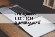ST高鸿(000851.SZ)：2024年净亏损22.8亿元