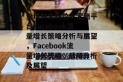 全球领先的数字营销平台Facebook流量增长策略分析与展望,Facebook流量增长策略,战略分析及展望 全球领先的数字营销平台Facebook流量增长策略分析与展望,Facebook流量增长策略,战略分析及展望
