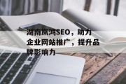 湖南岚鸿SEO,助力企业网站推广,提升品牌影响力 湖南岚鸿SEO,助力企业网站推广,提升品牌影响力