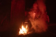 特朗普怒了!洛杉矶史上最大火灾,损失预估1500亿美元!哈里斯、拜登之子豪宅被毁 特朗普怒了!洛杉矶史上最大火灾,损失预估1500亿美元!哈里斯、拜登之子豪宅被毁