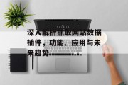 深入解析抓取网站数据插件,功能、应用与未来趋势 深入解析抓取网站数据插件,功能、应用与未来趋势