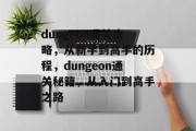 dungeon通关攻略,从新手到高手的历程,dungeon通关秘籍,从入门到高手之路