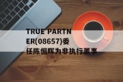 TRUE PARTNER(08657)委任陈恒辉为非执行董事