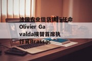 法国农业信贷银行任命Olivier Gavalda接替首席执行官Brassac 法国农业信贷银行任命Olivier Gavalda接替首席执行官Brassac