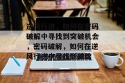 逆风行进,如何在密码破解中寻找到突破机会,密码破解,如何在逆风行进中寻找到破绽 逆风行进,如何在密码破解中寻找到突破机会,密码破解,如何在逆风行进中寻找到破绽