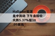 Hallador能源盘中异动 下午盘股价大跌5.37%报10.05美元 Hallador能源盘中异动 下午盘股价大跌5.37%报10.05美元