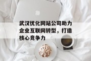 武汉优化网站公司助力企业互联网转型,打造核心竞争力 武汉优化网站公司助力企业互联网转型,打造核心竞争力