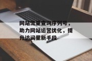 网站流量查询序列号，助力网站运营优化，提升访问量新手段