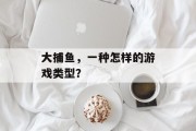 大捕鱼,一种怎样的游戏类型? 大捕鱼,一种怎样的游戏类型?