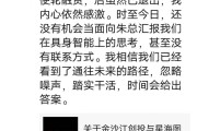 人形机器人有泡沫？朱啸虎“批量退出”，星海图、松延动力创始人接连回应